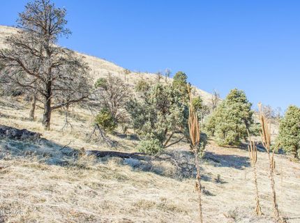 3221 Reese Lane, Gardnerville, NV 89410 Photo