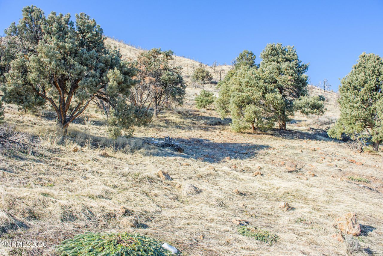 3221 Reese Lane, Gardnerville, NV 89410 Photo