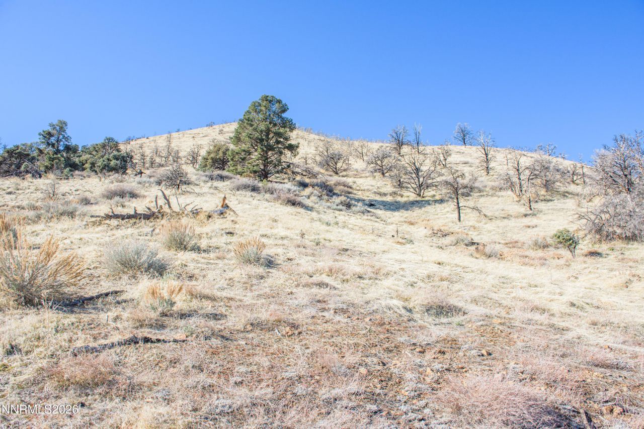 3221 Reese Lane, Gardnerville, NV 89410 Photo