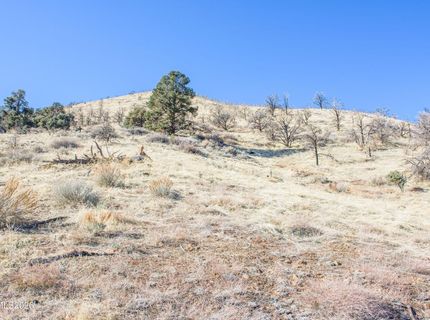 3221 Reese Lane, Gardnerville, NV 89410 Photo