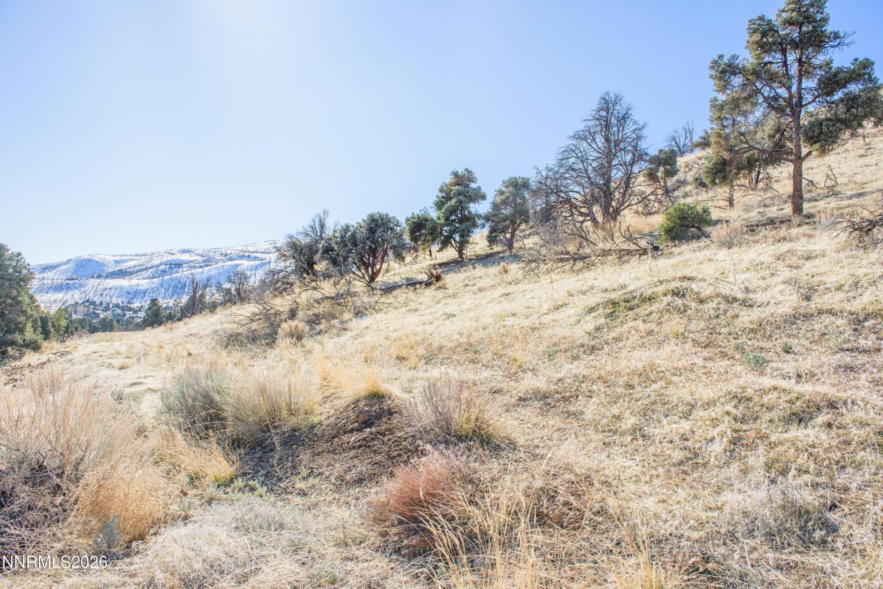 3221 Reese Lane, Gardnerville, NV 89410 Photo