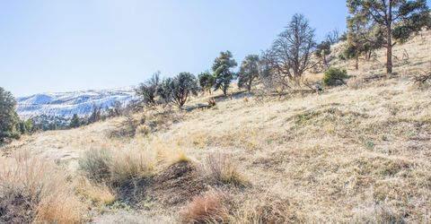 3221 Reese Lane, Gardnerville, NV 89410 Photo