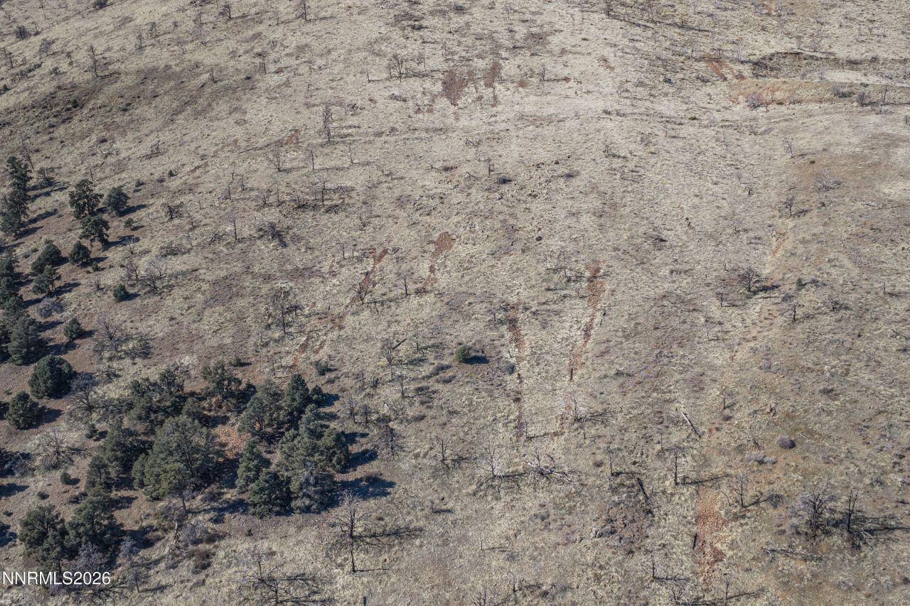 3221 Reese Lane, Gardnerville, NV 89410 Photo