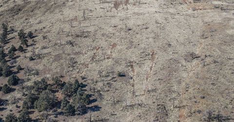 3221 Reese Lane, Gardnerville, NV 89410 Photo