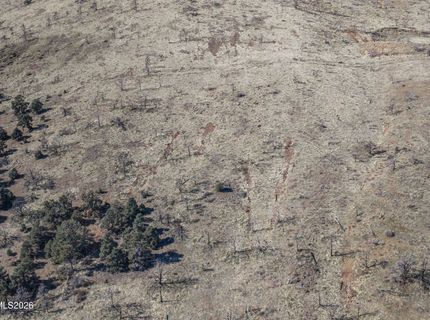 3221 Reese Lane, Gardnerville, NV 89410 Photo