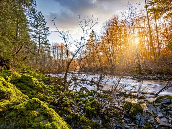 1800 Arrowhead Drive, O'Brien, OR 97534