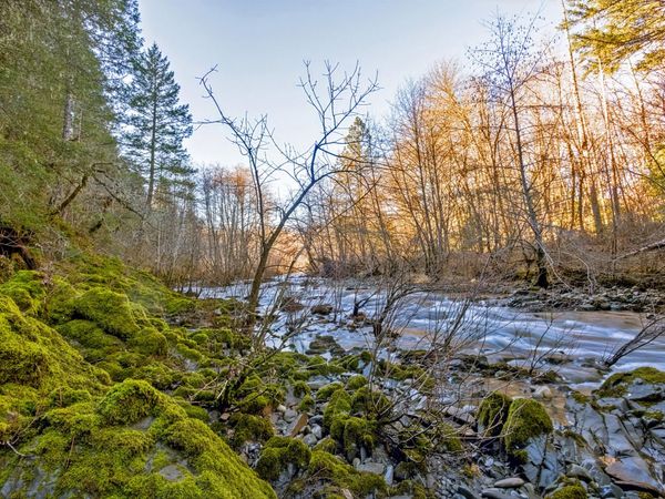 1800 Arrowhead Drive, O'Brien, OR 97534