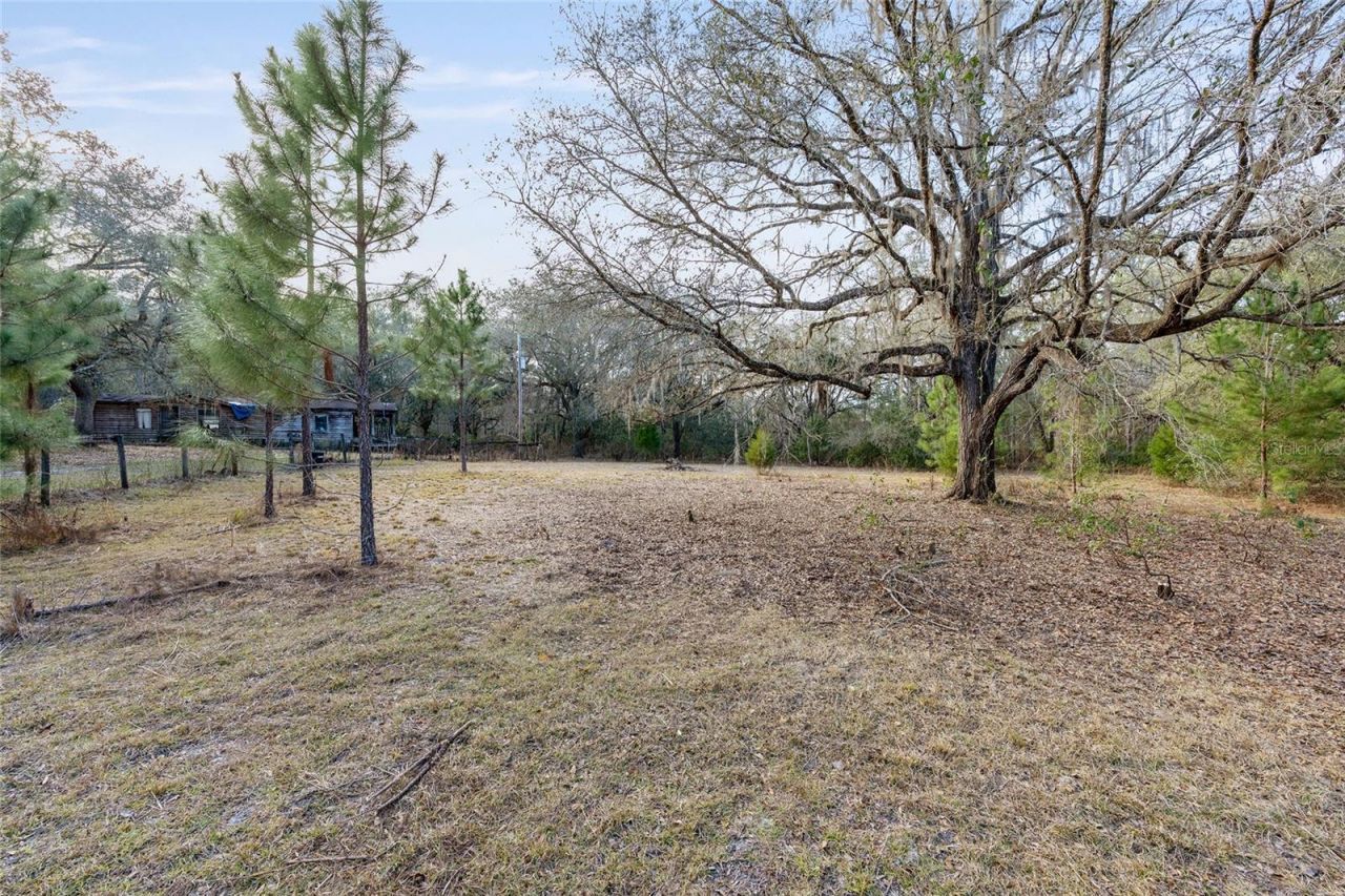 12264 NE 139th Place, Fort Mc Coy, FL 32134 Photo