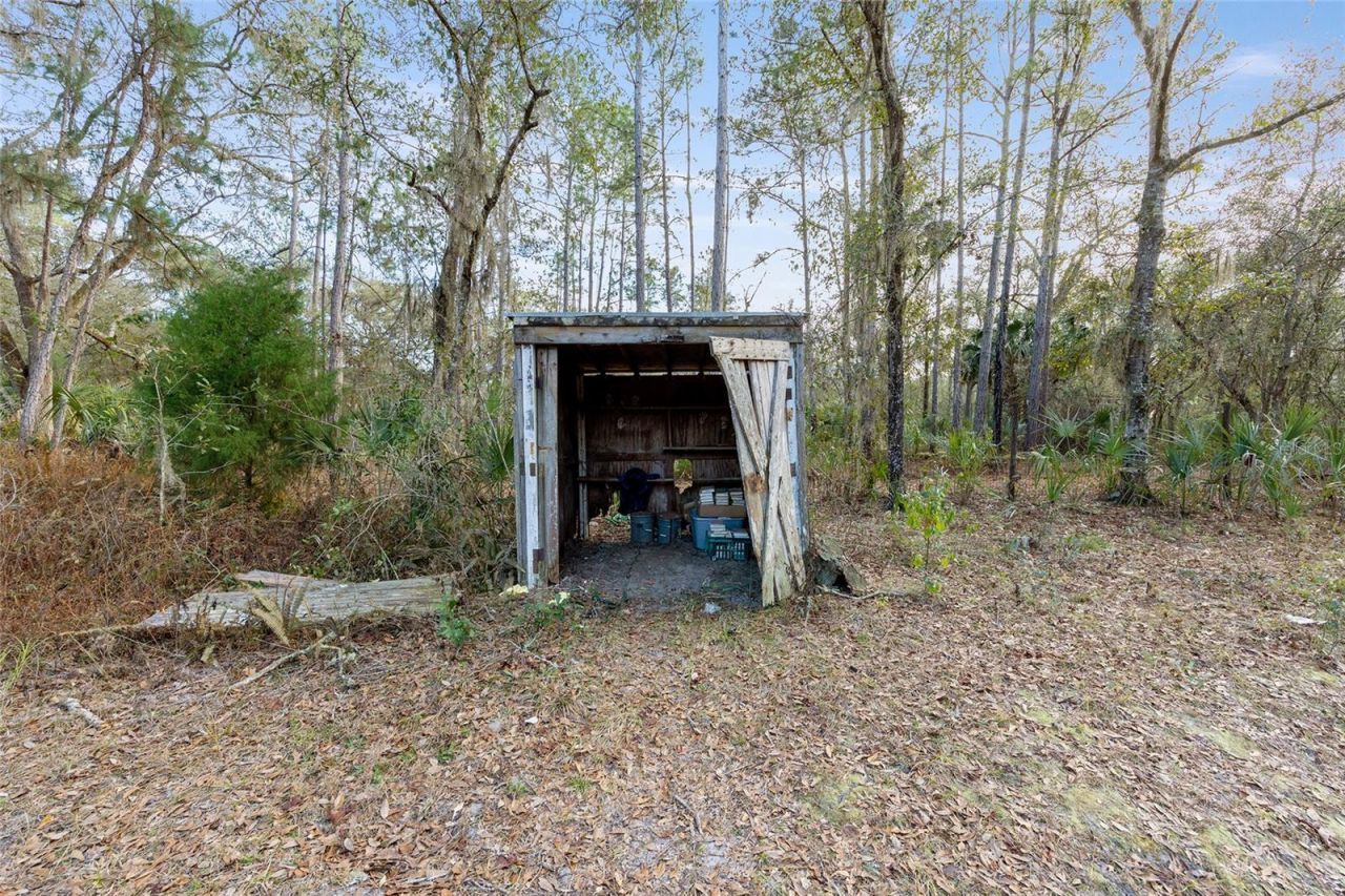 12264 NE 139th Place, Fort Mc Coy, FL 32134 Photo