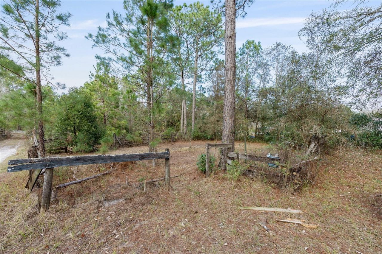 12264 NE 139th Place, Fort Mc Coy, FL 32134 Photo