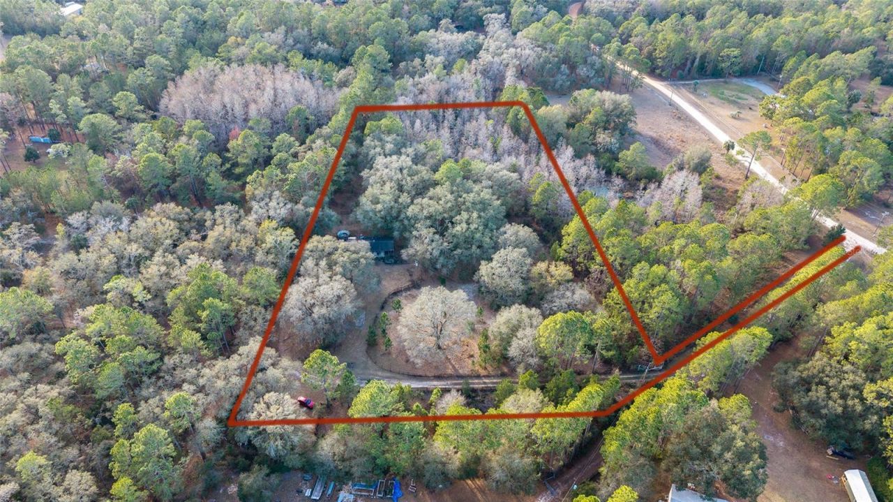 12264 NE 139th Place, Fort Mc Coy, FL 32134 Photo