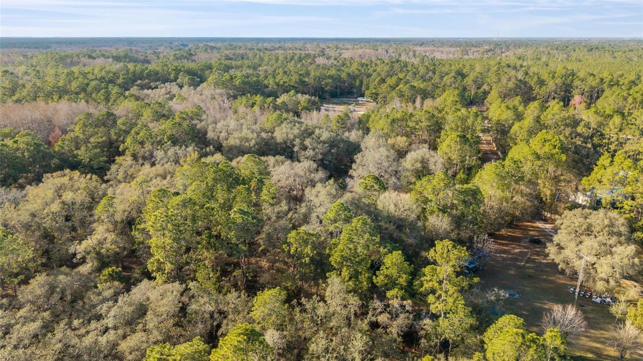 12264 NE 139th Place, Fort Mc Coy, FL 32134 Photo