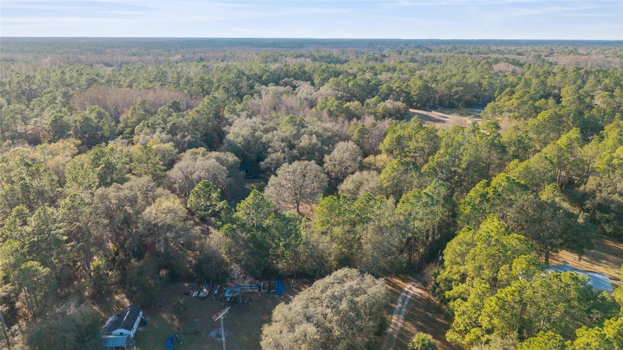 12264 NE 139th Place, Fort Mc Coy, FL 32134 Photo