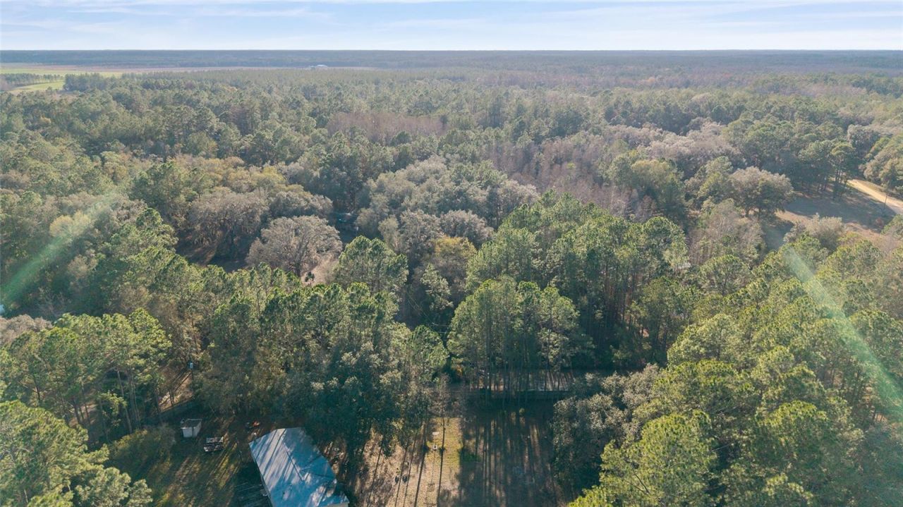 12264 NE 139th Place, Fort Mc Coy, FL 32134 Photo