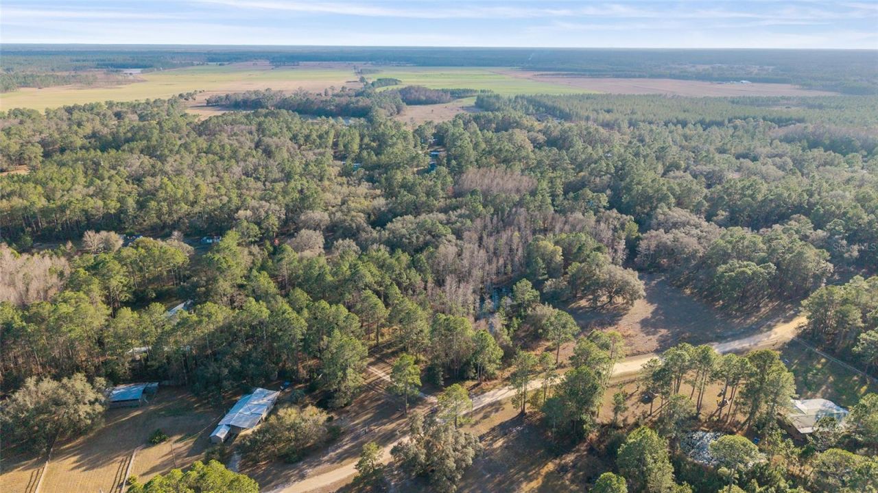 12264 NE 139th Place, Fort Mc Coy, FL 32134 Photo