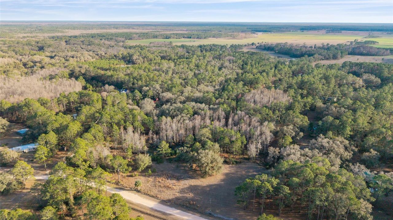 12264 NE 139th Place, Fort Mc Coy, FL 32134 Photo