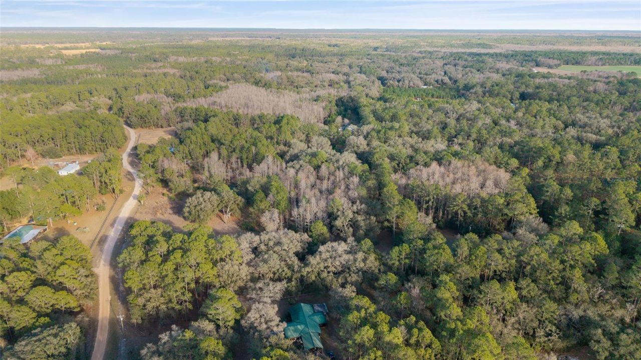 12264 NE 139th Place, Fort Mc Coy, FL 32134 Photo