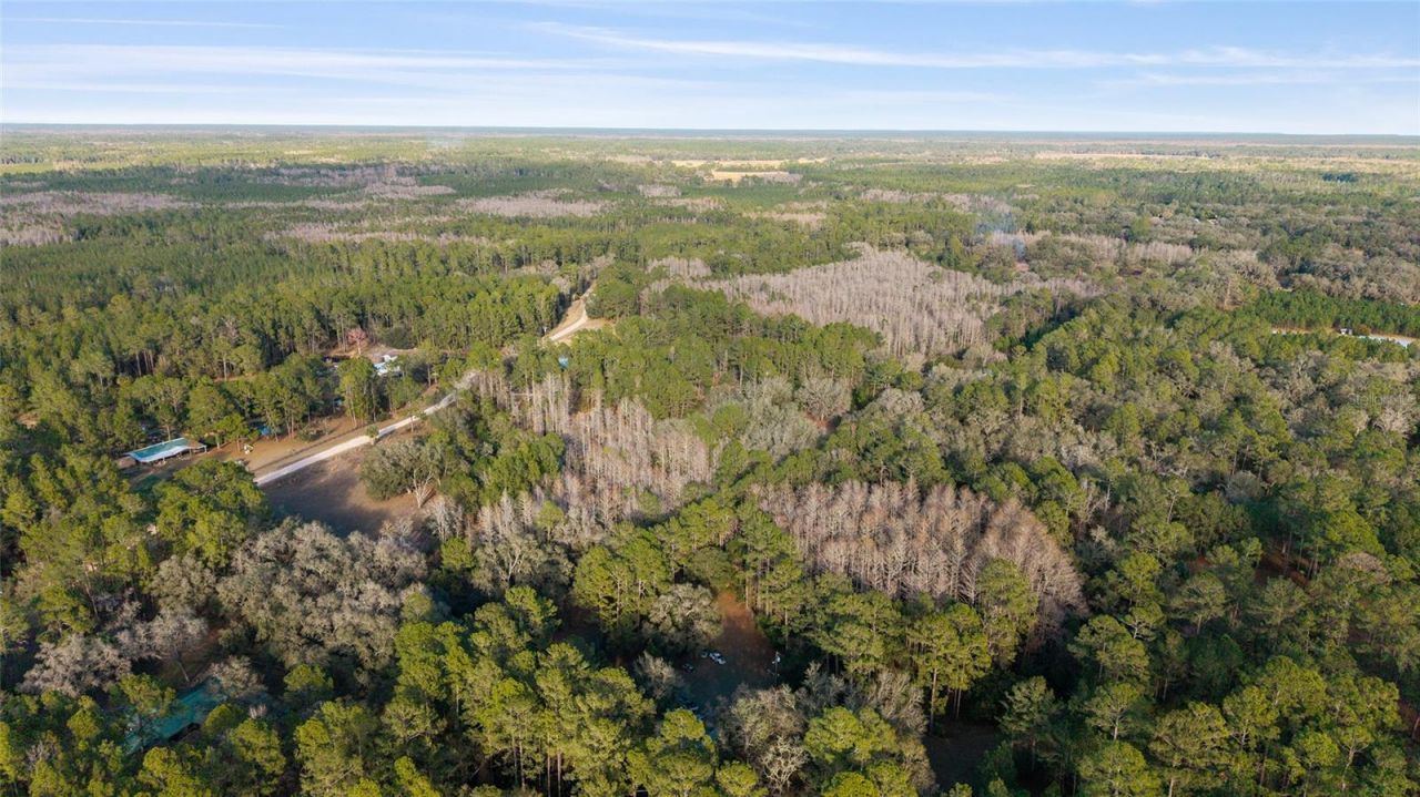 12264 NE 139th Place, Fort Mc Coy, FL 32134 Photo