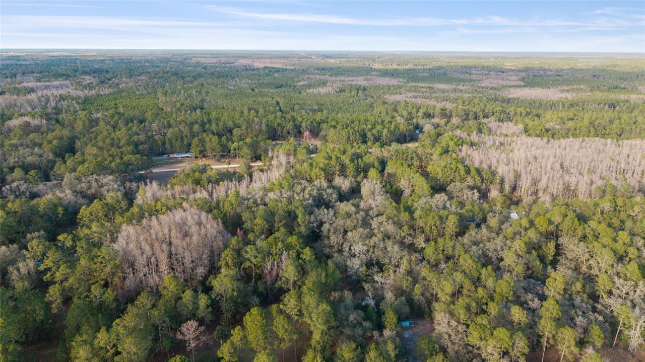 12264 NE 139th Place, Fort Mc Coy, FL 32134 Photo