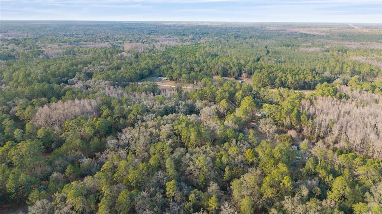 12264 NE 139th Place, Fort Mc Coy, FL 32134 Photo