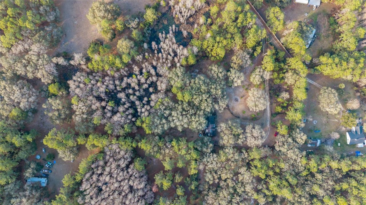 12264 NE 139th Place, Fort Mc Coy, FL 32134 Photo