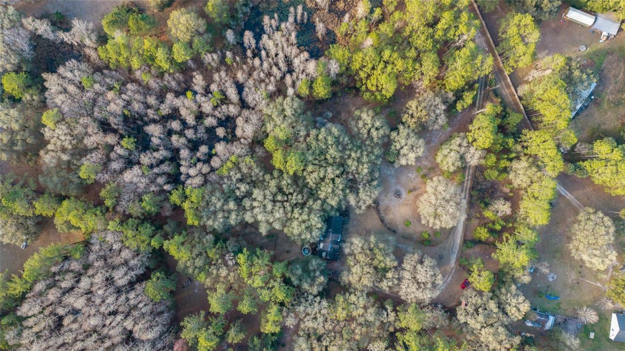 12264 NE 139th Place, Fort Mc Coy, FL 32134 Photo