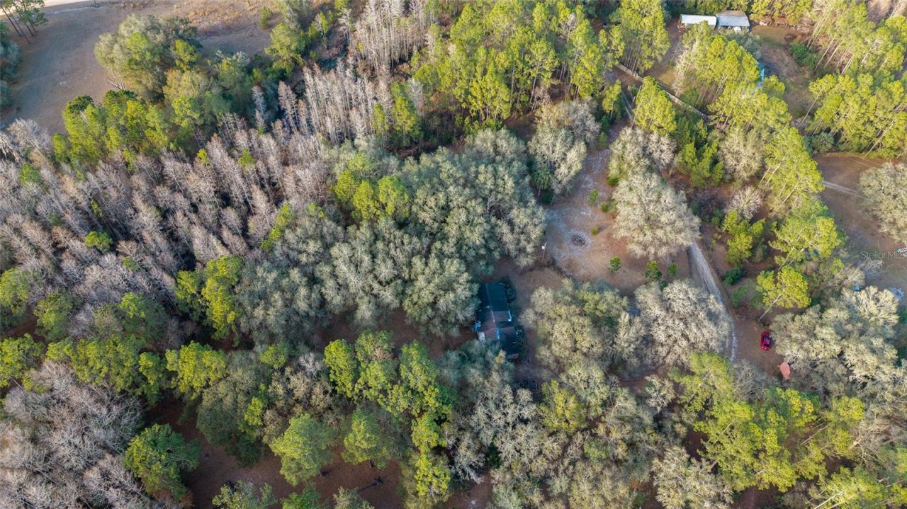 12264 NE 139th Place, Fort Mc Coy, FL 32134 Photo