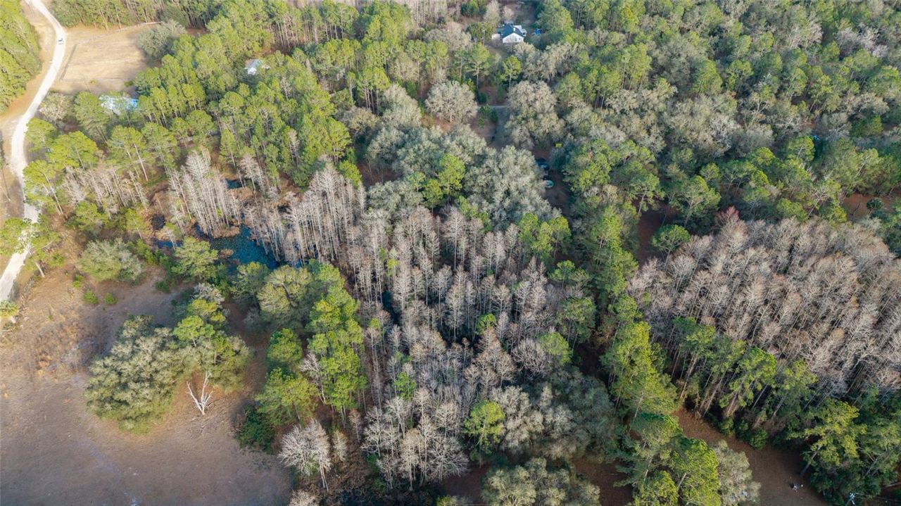 12264 NE 139th Place, Fort Mc Coy, FL 32134 Photo