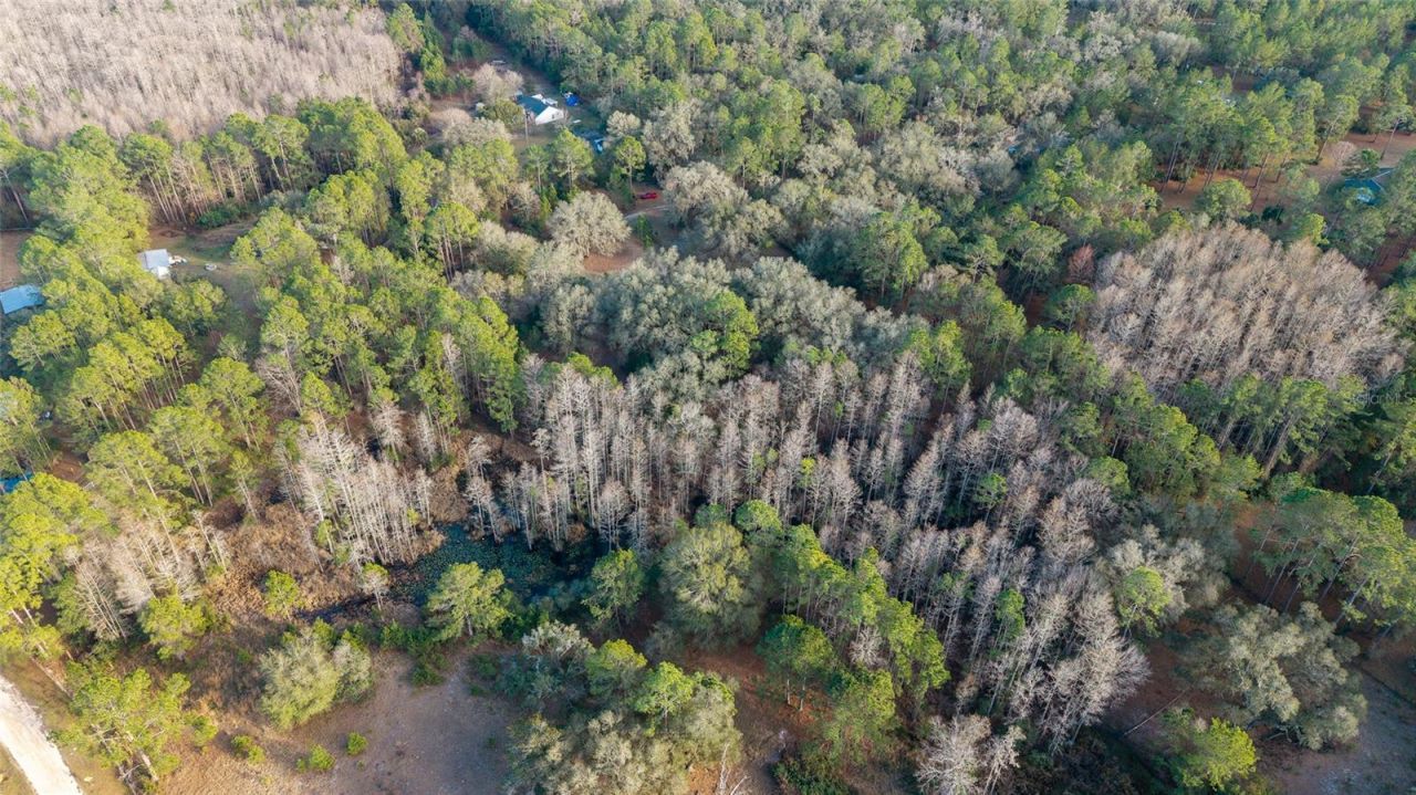 12264 NE 139th Place, Fort Mc Coy, FL 32134 Photo