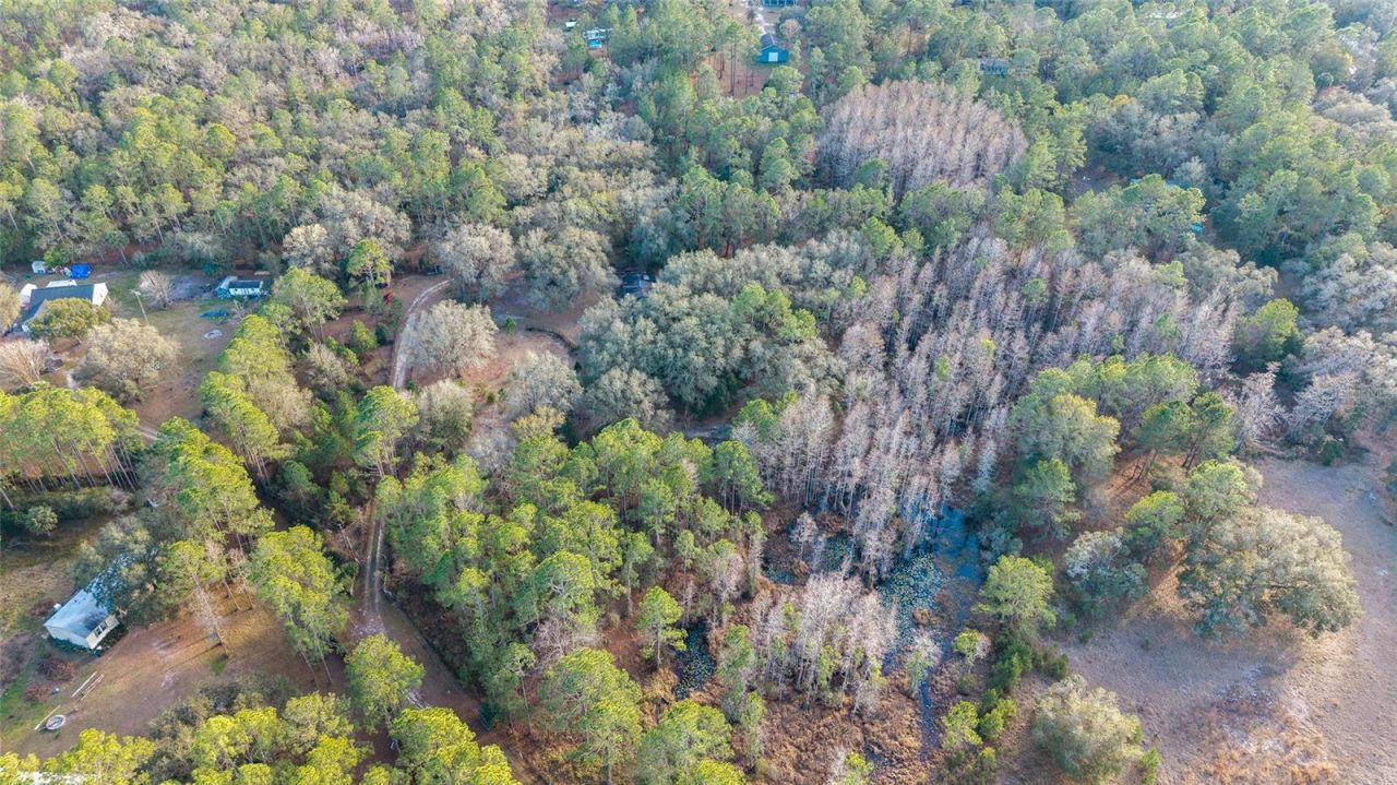 12264 NE 139th Place, Fort Mc Coy, FL 32134 Photo