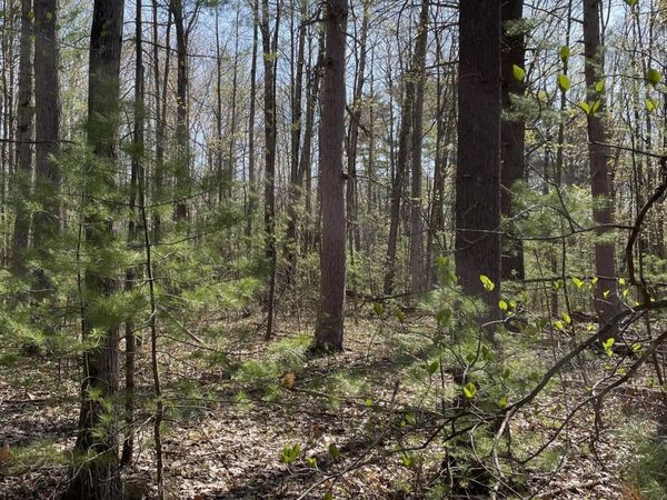 10 Lots Arthur Street, Topinabee, MI 49791