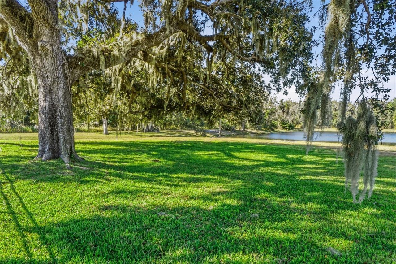 14204 11th Terrace Ne, Bradenton, FL 34212 Photo