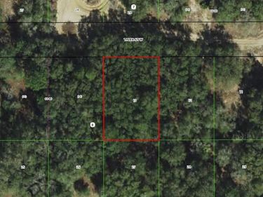 2911 TYLER STREET, INVERNESS, FL 34453