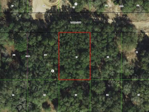 2911 TYLER STREET, INVERNESS, FL 34453