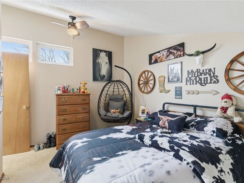 1084 Township Road 1806, Ashland, OH 44805 Photo 14