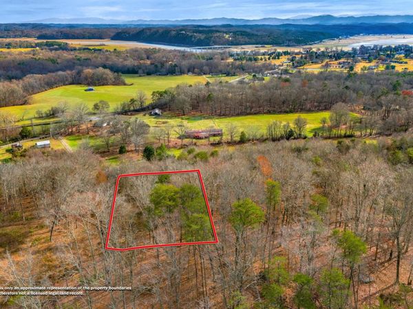 3278 Hillside Road, White Pine, TN 37890