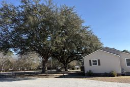 10587 Hwy 78 photo 4