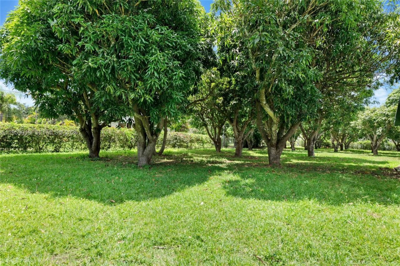 8000 SW 184th Str, Cutler Bay, FL 33157 Photo