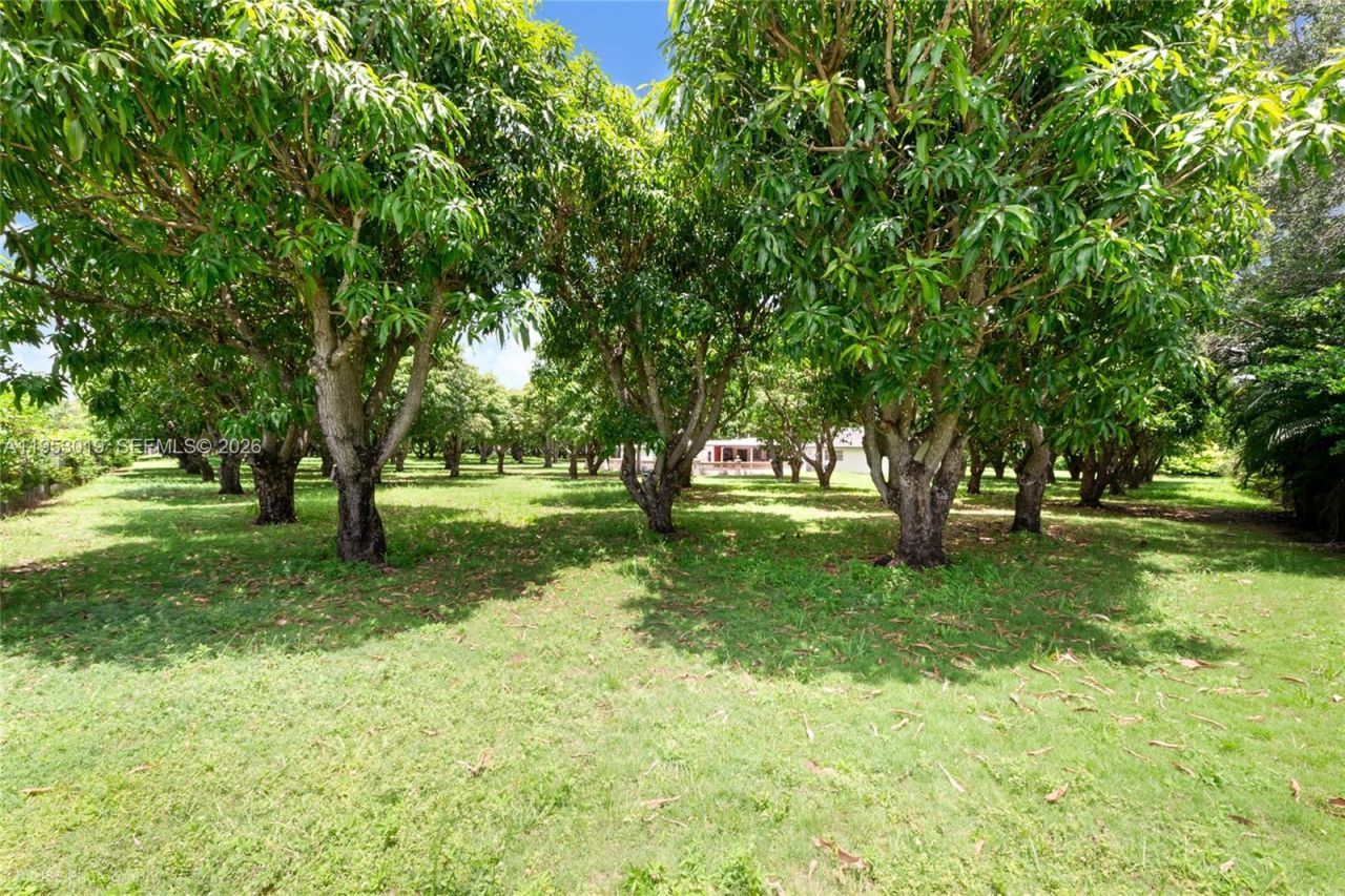 8000 SW 184th Str, Cutler Bay, FL 33157 Photo