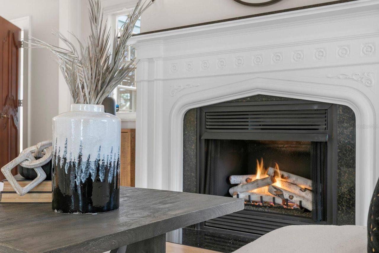 446 13th Avenue Ne, Saint Petersburg, FL 33704 Photo