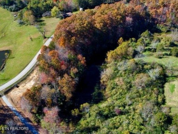 2036 Helenwood Detour Rd, Helenwood, TN 37755