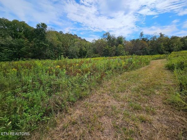 00 TN-96 , Buffalo Valley, TN 38548