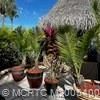 8 NW Boundary Drive, Port Saint Lucie, FL 34986 Photo