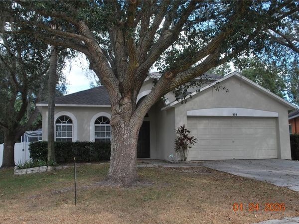 909 GRAND CANYON DRIVE, VALRICO, FL 33594