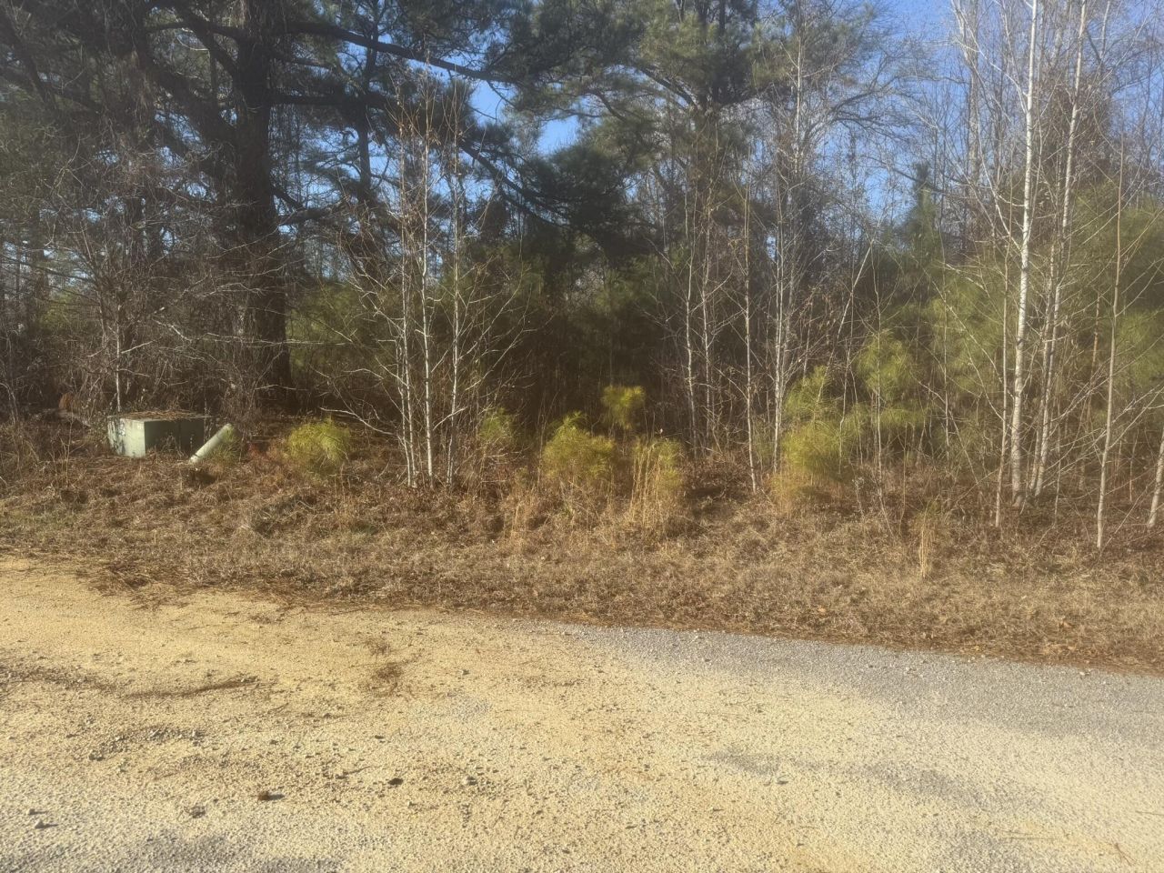 000 Flake Road Photo 4