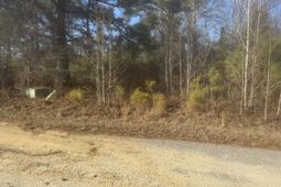 000 Flake Road photo 4