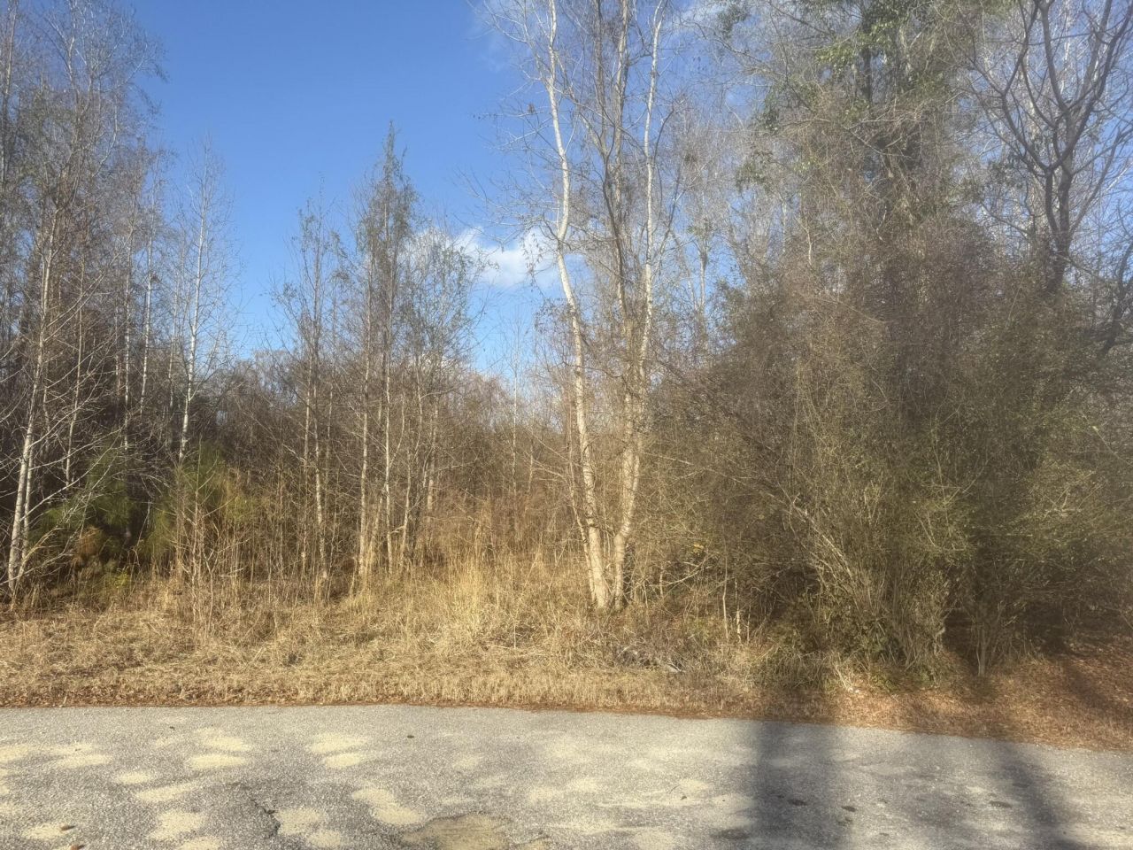 000 Flake Road Photo 5