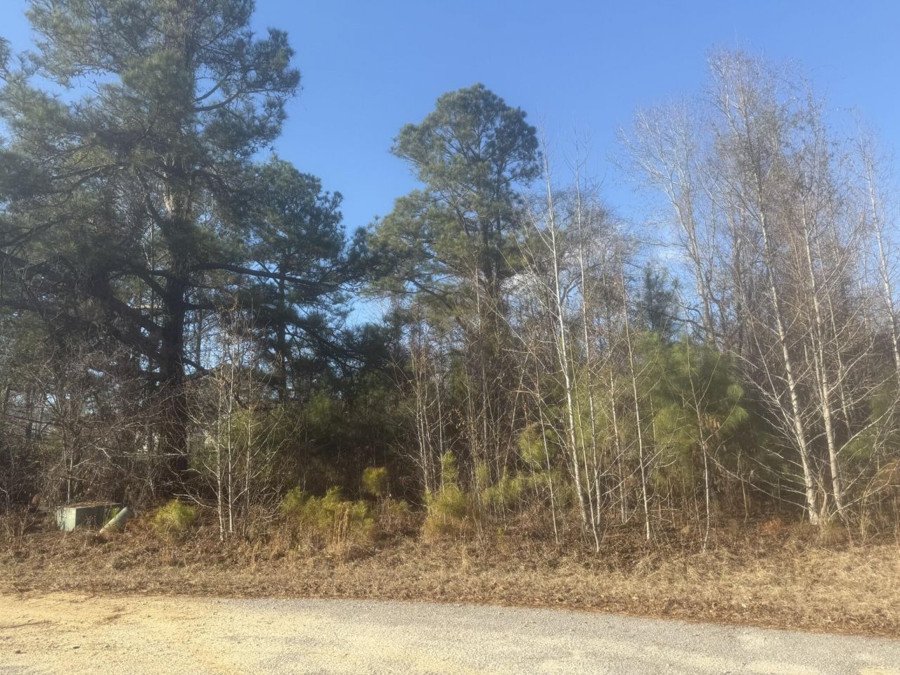 000 Flake Road Photo 6