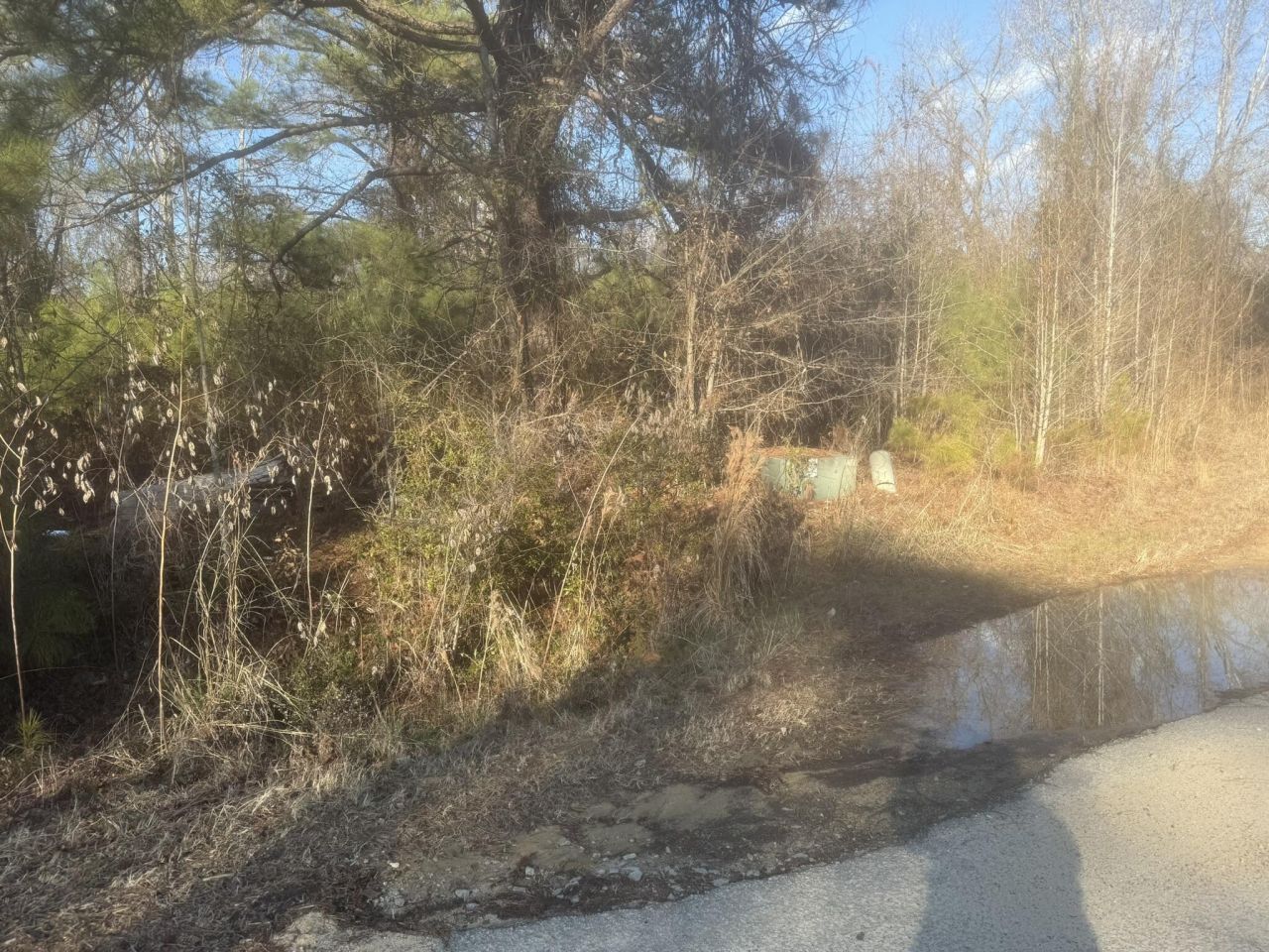 000 Flake Road Photo 7