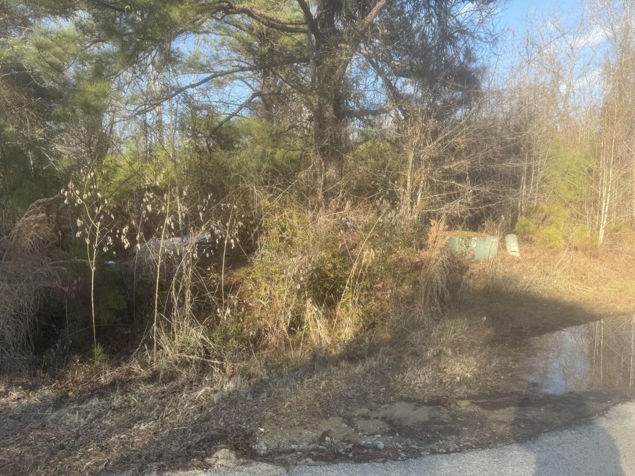 000 Flake Road Photo 8